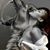 Sandy Wilson's profile image