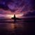 Janice Surett's profile image
