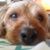 Aaron Wood-Snyderman's profile image