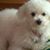 Maryann Marasco's profile image