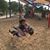Sarah Kathleen Rudolph West's profile image