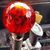 Danny Joe McDaniel's profile image