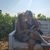 Jazmin Brill-Araiza's profile image