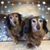 Deborah Burritt's profile image
