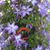 Susan Downer Ervin's profile image