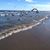 Brenda Perry Garrison's profile image