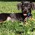Kathy Percy's profile image