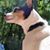 Kristin Chadwick's profile image