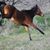 Penny Haight Peterson's profile image