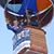 Peter S. Riehle's profile image