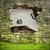 Deborah Whitaker Shank's profile image