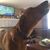 Jennifer Waidler Tillinghast's profile image