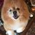 Claudia Tarver Melear's profile image