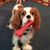 Gayle Schild's profile image