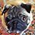 Judy Barron's profile image