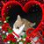 Jessica Louise Lockwood's profile image