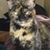 Jennifer Anne's profile image