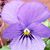 Nicole Genery's profile image