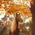 Susan Knowlton's profile image