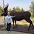 Pam Sheperd's profile image