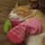 Brenna Dixson's profile image
