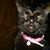 Sandi Staples's profile image