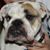 Ecko Rae's profile image