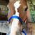 Carol Davis Petrime's profile image