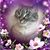 Nancy Munck Flynn's profile image