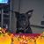 Cindy Glover's profile image