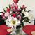 Deb Hibdon's profile image