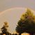 Darlene Miller's profile image