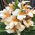 Kathy Gregory Roberts's profile image
