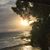 Donna Hoag's profile image