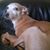Bev Hodges's profile image