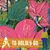 Lori Page's profile image