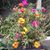 Laura Kytle's profile image