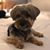 Zsu Zsa's profile image
