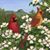 Anita Hicks's profile image
