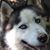Paula Adams's profile image