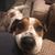 Audra Mumaw Moraski's profile image