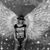 Susan Dawn's profile image