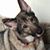 Randee Bier's profile image