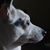 June Dillman's profile image