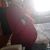 Maya Bella's profile image