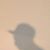 Jay Vish's profile image