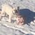 Lander Keith Clegg's profile image