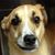 Dave Cowan's profile image