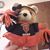 Kim Fay's profile image