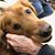 Janine Duschka Vernon's profile image